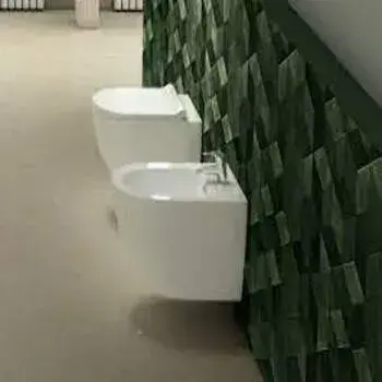 Kohler Wall Hung Bidet