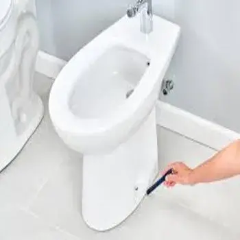 Polished White Bidet