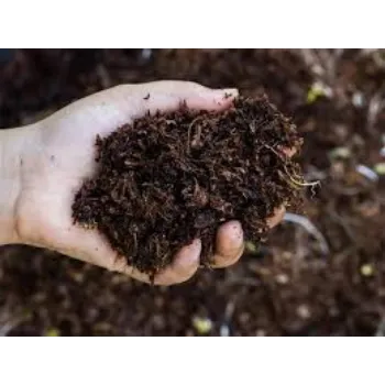 Organic Bio Fertilizer