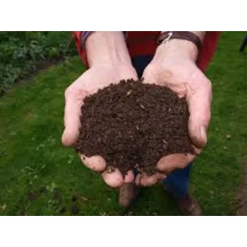 Organic Bio Fertilizers