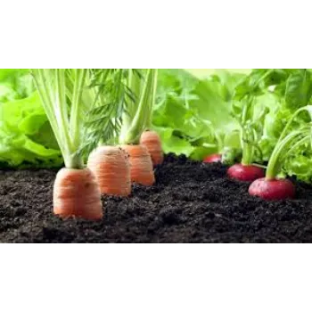 Natural Bio Fertilizers