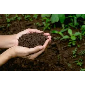 Natural Bio Fertilizers