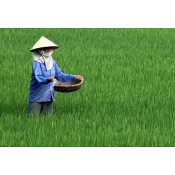 Bio Fertilizers