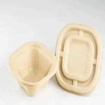  Biodegradable Bowl