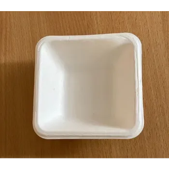  Biodegradable Bowl