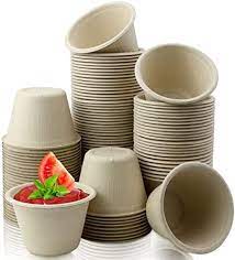  Non Polished  Biodegradable Bowl