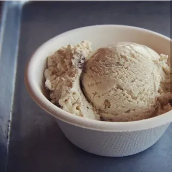 Biodegradable Bowl