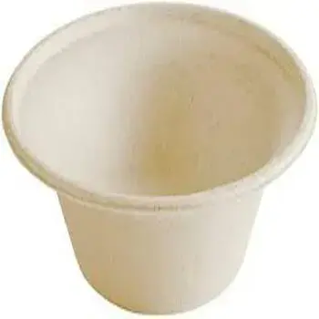 Multicolor Biodegradable Bowl