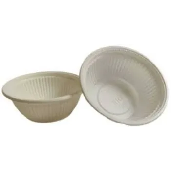 Sustainable Biodegradable Bowl