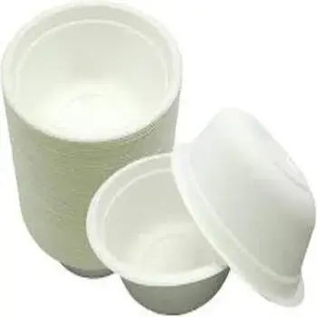 Light Weight Biodegradable Bowl
