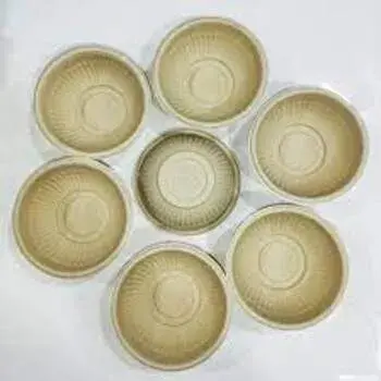Disposable Biodegradable Bowl