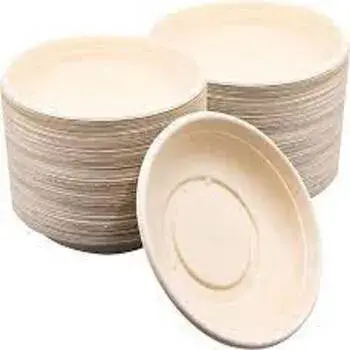 Biodegradable Bowl