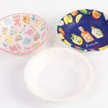 Biodegradable Bowl