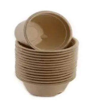 Best Quality Biodegradable Bowl
