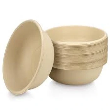 Biodegradable Bowl