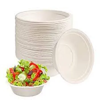 Surya Biodegradable Bowl