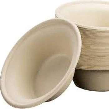 Biodegradable Bowl