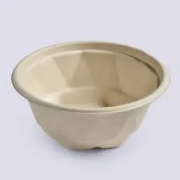 Biodegradable Bowl