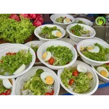 Premium Biodegradable Bowl