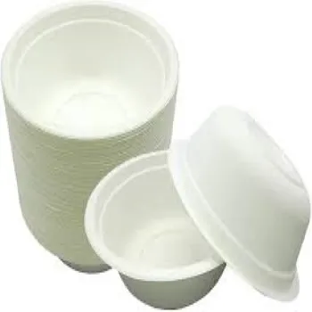 Coated Biodegradable Bowl