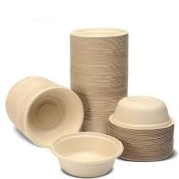 Biodegradable Bowl