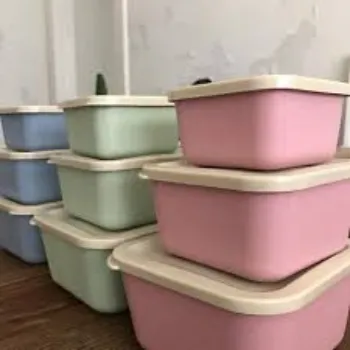 Biodegradable Container