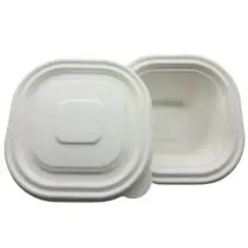 Hard Structure Biodegradable Container