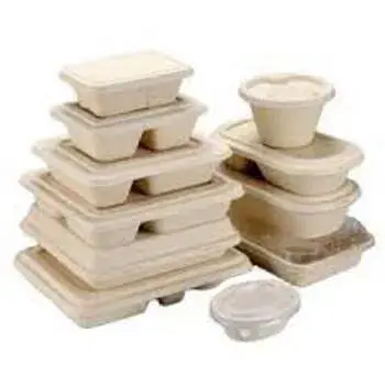 Biodegradable Container