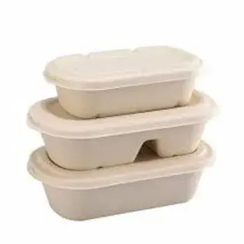  Good Quality Biodegradable Container