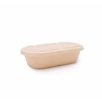 Color Coated Biodegradable Container