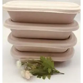 Coated Finished Biodegradable Container