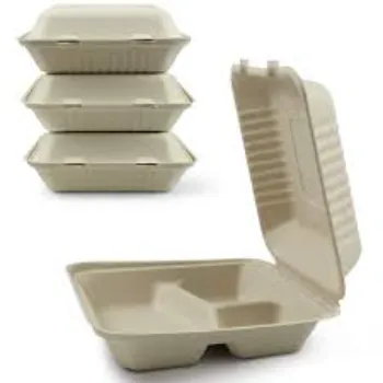 Custom Design Biodegradable Container