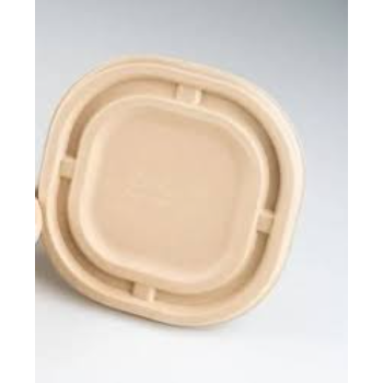 Standard Biodegradable Container