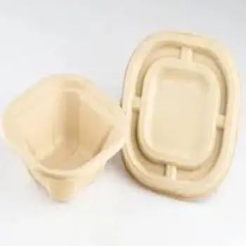 Polished Biodegradable Container