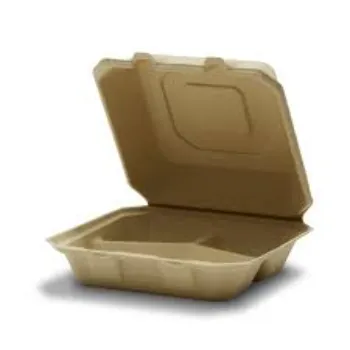 Biodegradable Brown Container