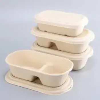 Light Weight Biodegradable Container
