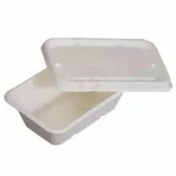 Sustainable Biodegradable Container