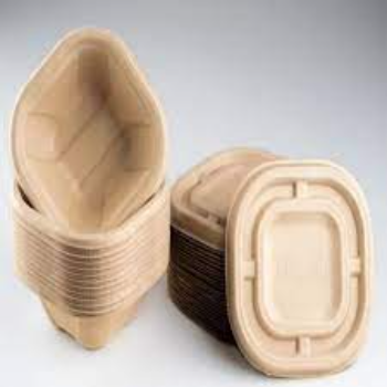 Leak Proof Biodegradable Container