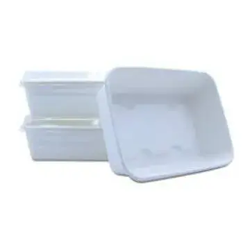 Durable Biodegradable Container