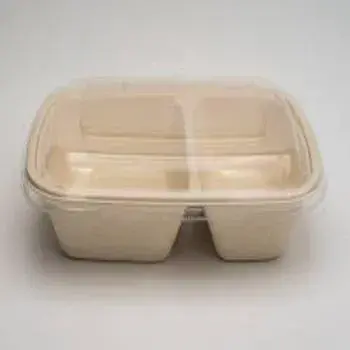 Biodegradable Container