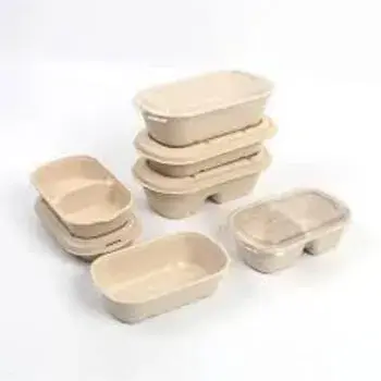 Disposable Biodegradable Container