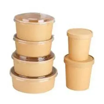 Light Weight New Biodegradable Container