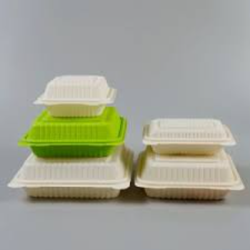 Biodegradable Container