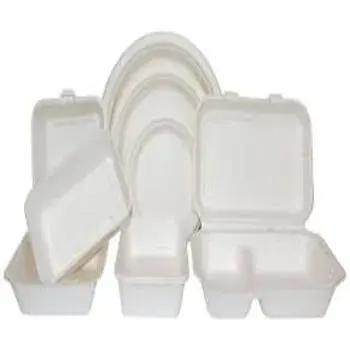 Plain Biodegradable Container
