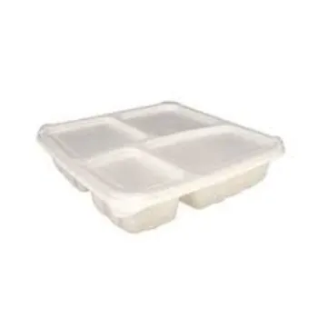 Biodegradable Container