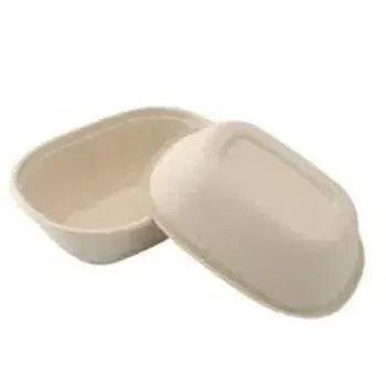 Multi Size Biodegradable Container
