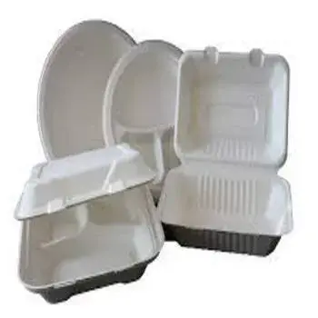 Best Quality Biodegradable Container