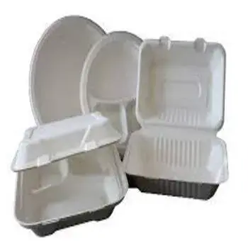 Biodegradable Container