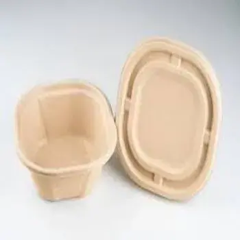 Biodegradable Container