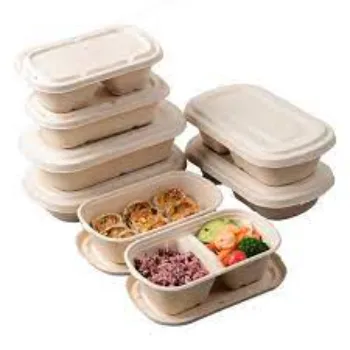 Simple Biodegradable Container